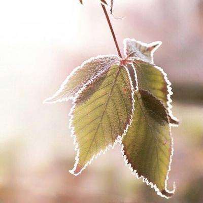 开元·app手机app下载